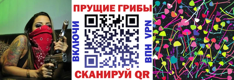 хочу   Зубцов  Галлюциногенные грибы MAGIC MUSHROOMS 